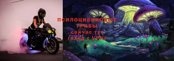 индика Белоозёрский