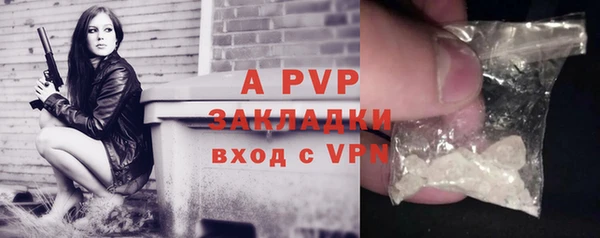apvp Богданович