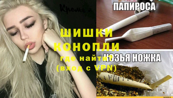 PSILOCYBIN Богородицк