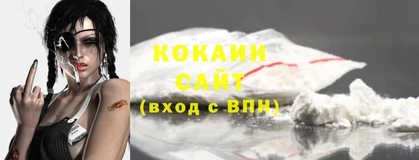 PSILOCYBIN Богородицк