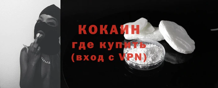 a pvp Белокуриха