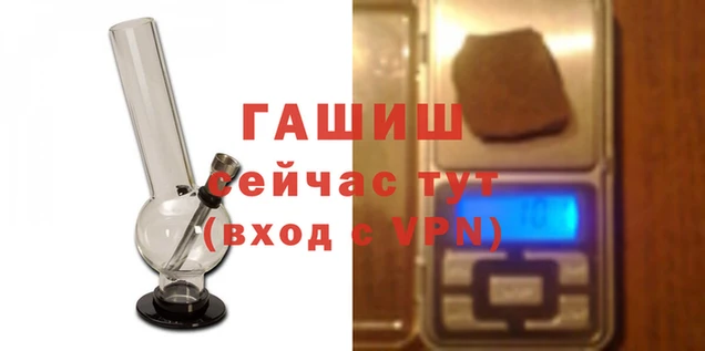 a pvp Белокуриха