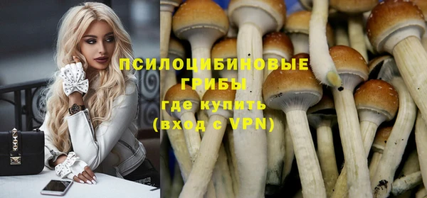 apvp Богданович