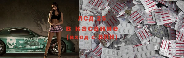 индика Белоозёрский