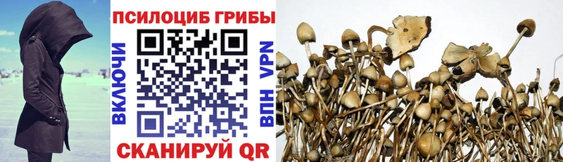 Псилоцибиновые грибы мицелий  купить наркотик  Великие Луки 