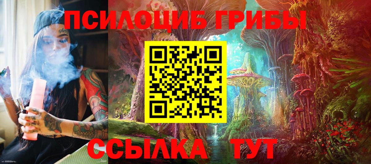 Псилоцибиновые грибы ЛСД Великие Луки