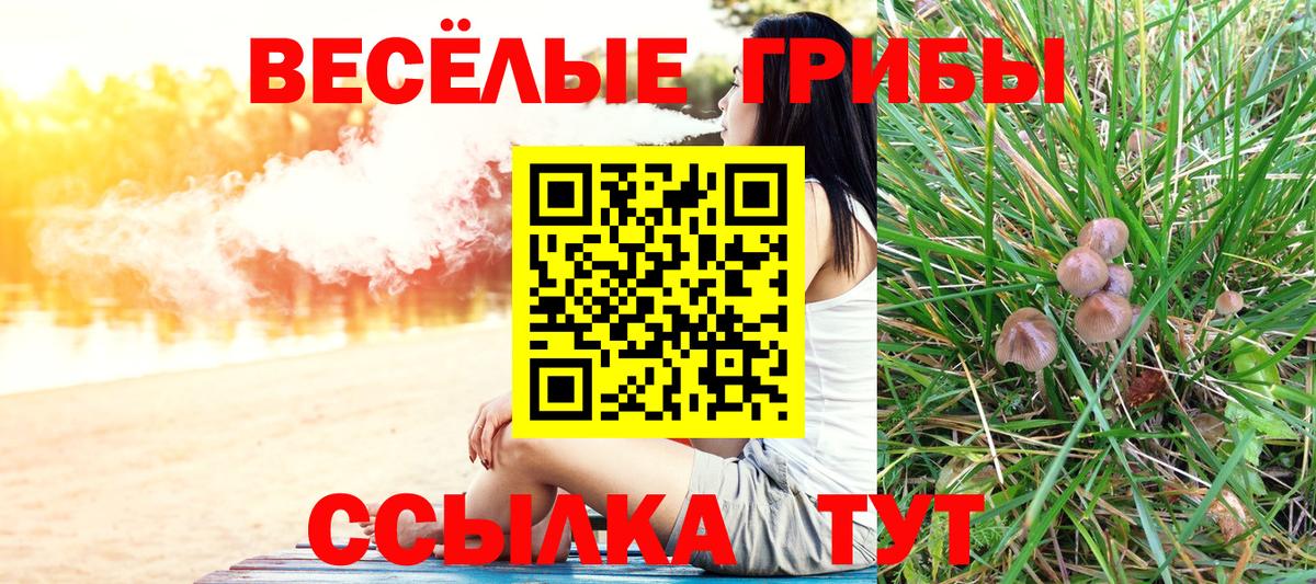 Великие Луки  Псилоцибиновые грибы мицелий  Вход с VPN 