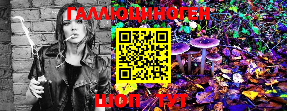 Псилоцибиновые грибы Cubensis Великие Луки